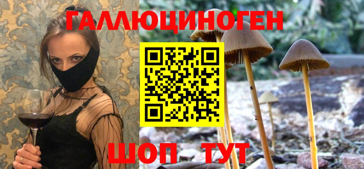 Псилоцибиновые грибы мухоморы Алатырь