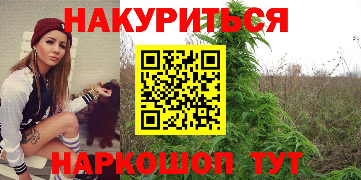 Каннабис планчик Алатырь